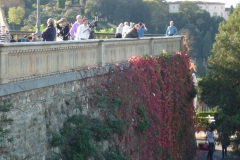 P1000184