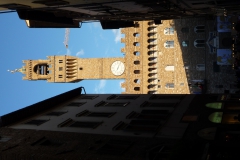 P1000206