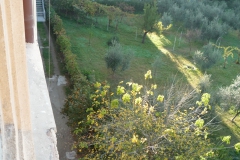 P1000231