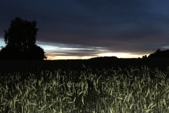 Bilder 2016 2017 iphone 569