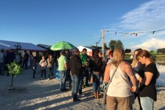 Bilder 2016 2017 iphone 574