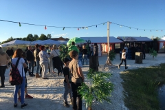 Bilder 2016 2017 iphone 576