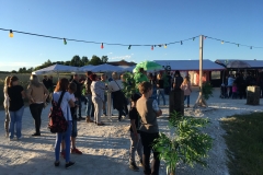 Bilder 2016 2017 iphone 577