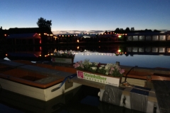 Bilder 2016 2017 iphone 583