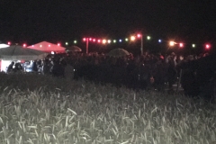 Bilder 2016 2017 iphone 618