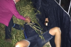 Bilder 2016 2017 iphone 637